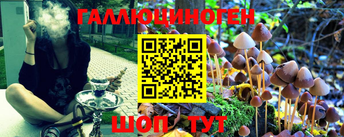 продажа наркотиков  Вход с VPN  Псилоцибиновые грибы MAGIC MUSHROOMS  Касимов  Псилоцибиновые грибы Psilocybe 