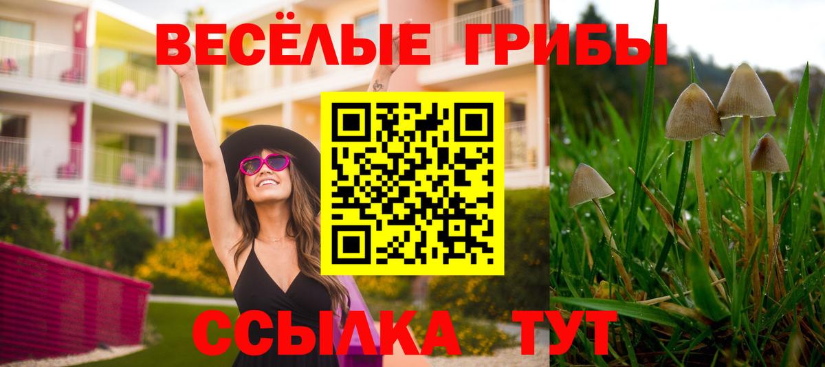Галлюциногенные грибы Magic Shrooms Касимов